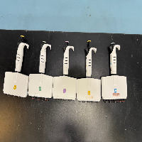 Integra Multichannel Pipettes - Quantity 5 image 2